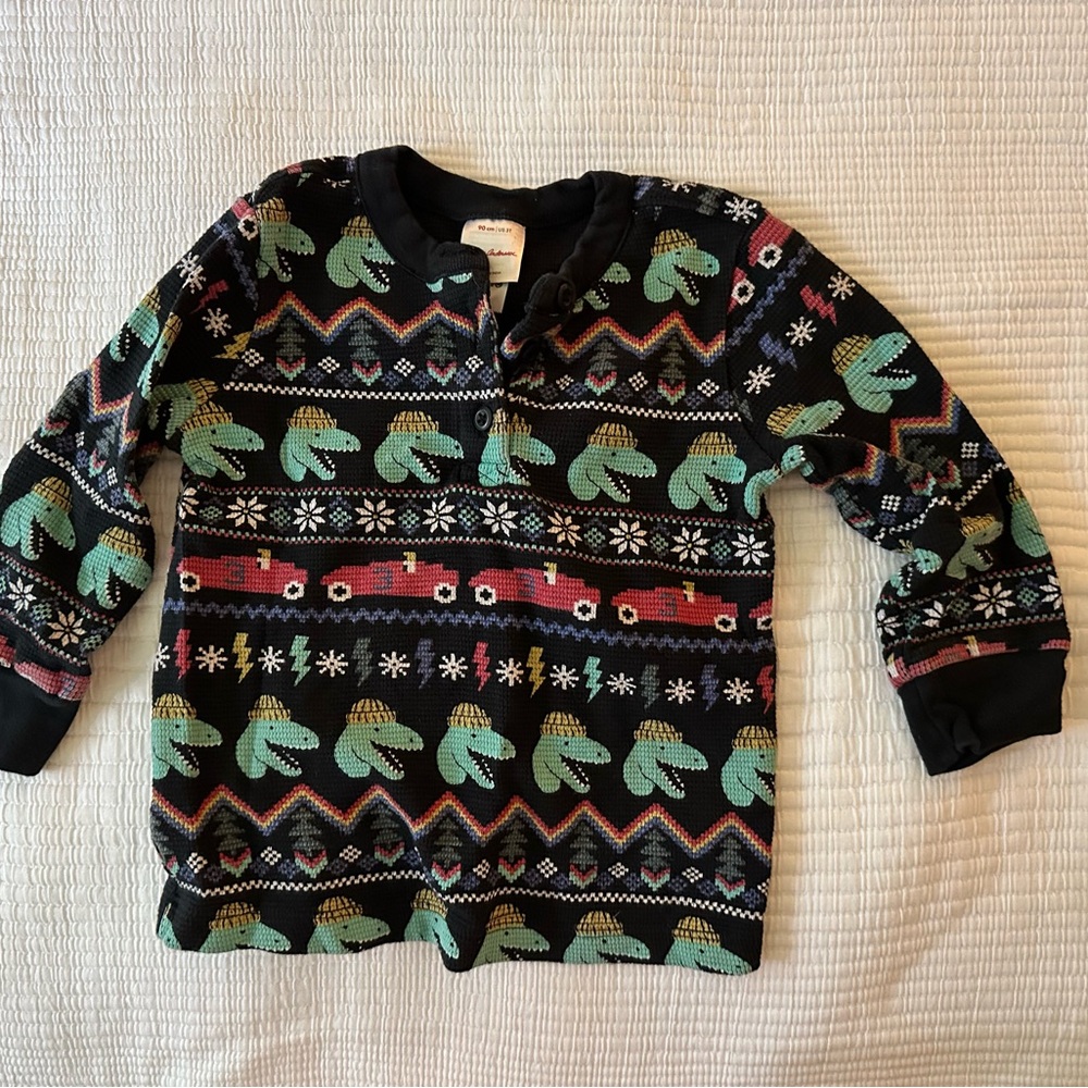 Hanna Andersson Black and Green Sweater with Dinosaur Motifs